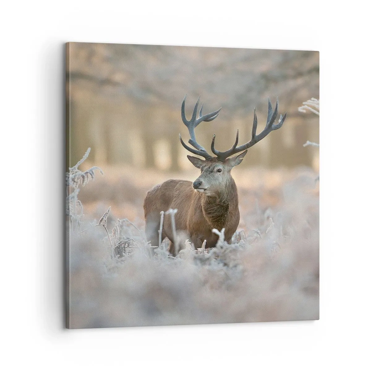 Cuadro sobre lienzo - Impresión de Imagen - Una mañana fresca - 60x60 cm