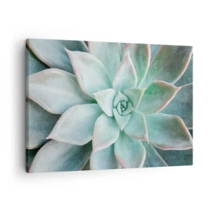 Cuadro sobre lienzo - Impresión de Imagen - Primer plano de una suculenta verde - 70x50cm - El corazón del desierto - Decoración de pared moderna para salón y dormitorio ARTTOR