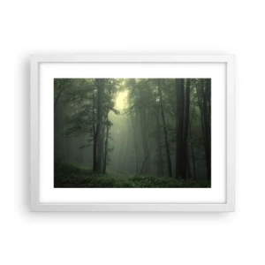 Póster en marco blanco - Antes de que se despierte el bosque - 40x30 cm