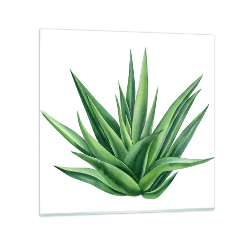 Cuadro sobre vidrio - Impresiones sobre Vidrio - Verde - fuerza - vida - 60x60 cm