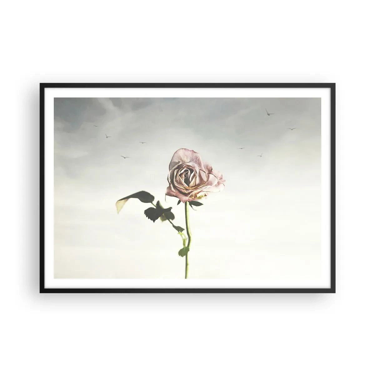 Póster en marco negro - Una delicada rosa contra un cielo brillante con pájaros volando. - 100x70cm - Bienvenida a la primavera - Decoración de pared moderna para salón y dormitorio ARTTOR