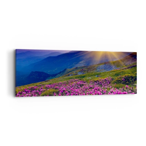 Cuadro sobre lienzo - Impresión de Imagen - ... Y el aroma a hierbas está por todas partes - 90x30 cm