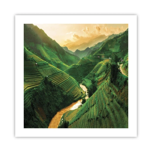 Póster - Valle vietnamita - 50x50 cm