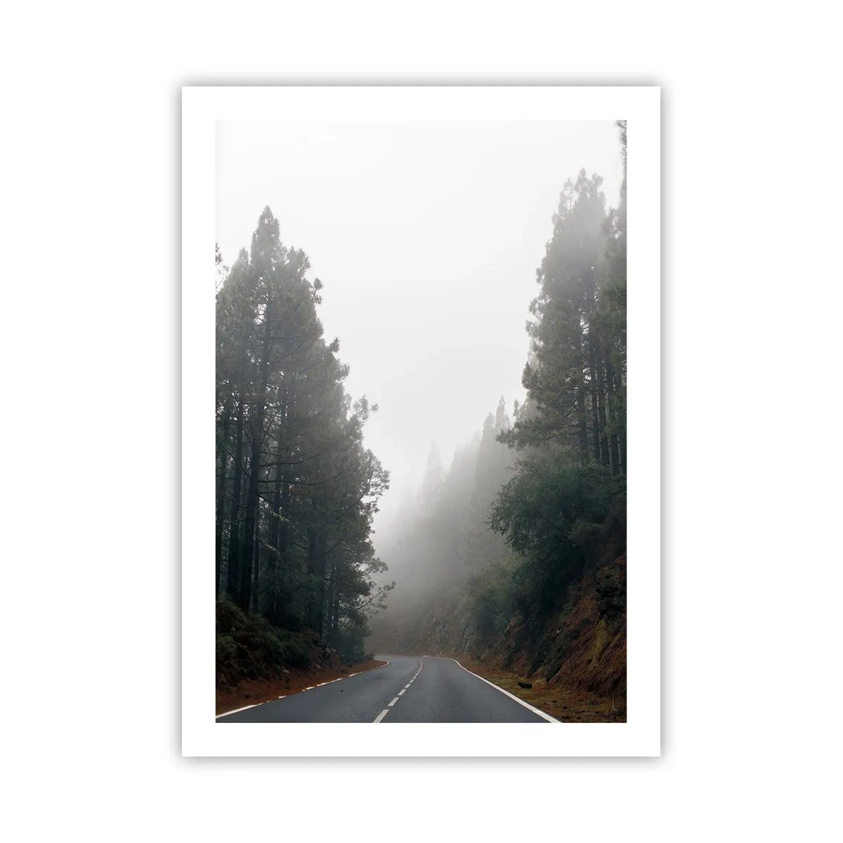 Póster - Un camino sinuoso entre árboles envueltos en niebla. - 50x70cm - La historia de un bosque mágico - Decoración de pared moderna para salón y dormitorio ARTTOR