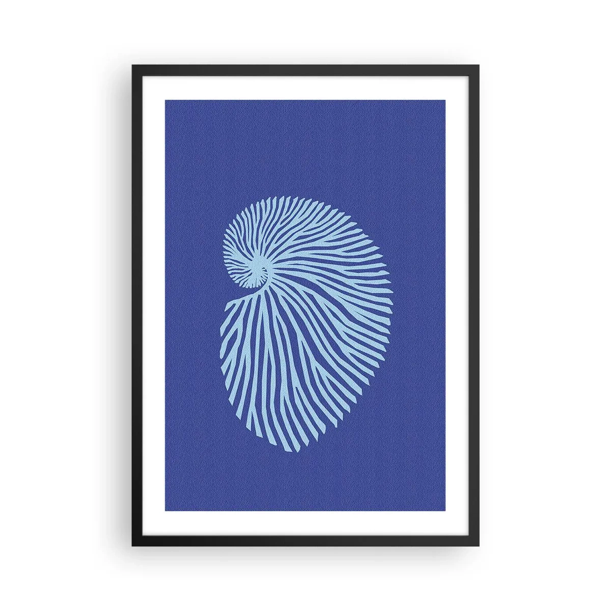 Póster en marco negro - Nacimiento de una concha - 50x70 cm