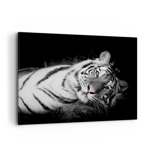 Cuadro sobre lienzo - Impresión de Imagen - Un tigre blanco representado artísticamente sobre un fondo negro. - 100x70cm - Salvaje y tranquilo - Decoración de pared moderna para salón y dormitorio ARTTOR