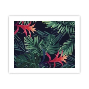 Póster - Encender el color verde - 50x40 cm