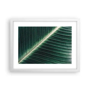 Póster en marco blanco - El ritmo de la naturaleza - 40x30 cm