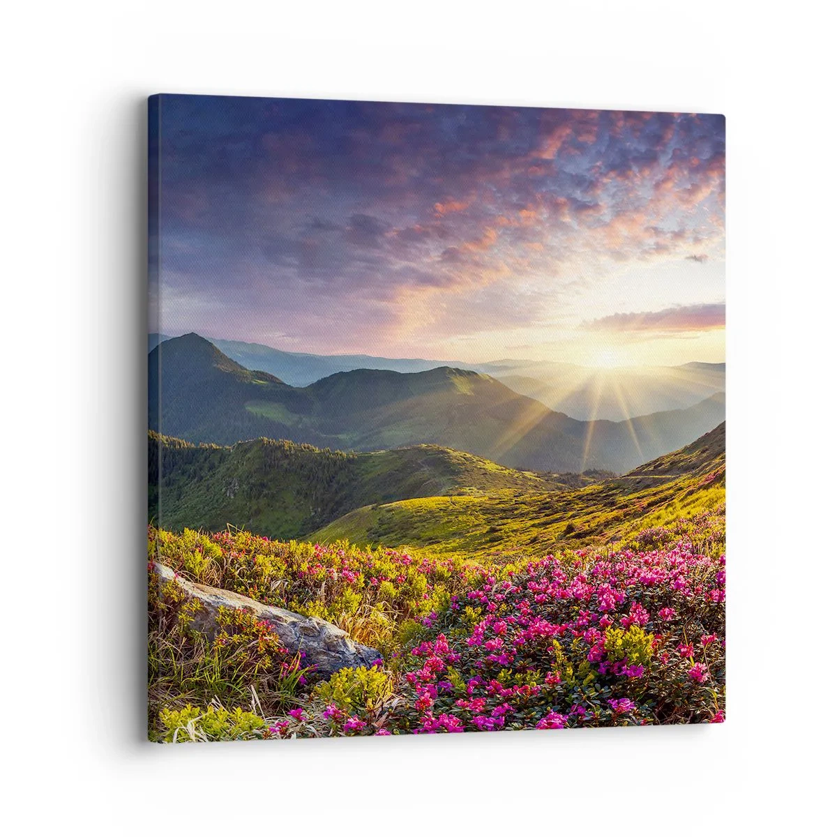 Cuadro sobre lienzo - Impresión de Imagen - La frescura de una mañana de montaña - 30x30 cm