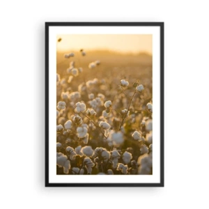 Póster en marco negro - Un campo de algodón bajo la cálida luz del sol poniente. - 50x70cm - Un campo esponjoso - Decoración de pared moderna para salón y dormitorio ARTTOR
