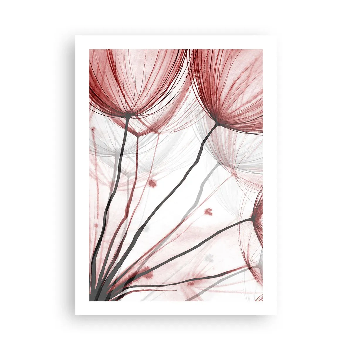 Póster - Delicados dientes de león en tonos rojos y negros. - 50x70cm - Antes de partir - Decoración de pared moderna para salón y dormitorio ARTTOR