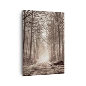 Cuadro sobre lienzo - Impresión de Imagen - Un sendero forestal entre árboles en tonos sepia. - 50x70cm - La catedral del bosque - Decoración de pared moderna para salón y dormitorio ARTTOR