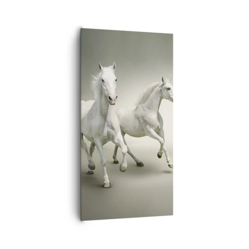 Cuadro sobre lienzo - Impresión de Imagen - ¡Poder blanco! - 65x120 cm