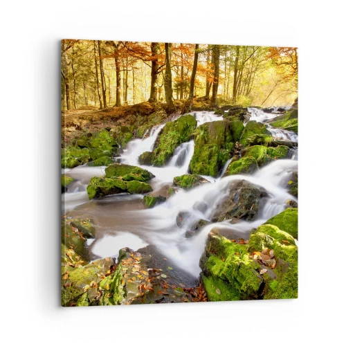 Cuadro sobre lienzo - Impresión de Imagen - Atravesando el bosque otoñal - 60x60 cm