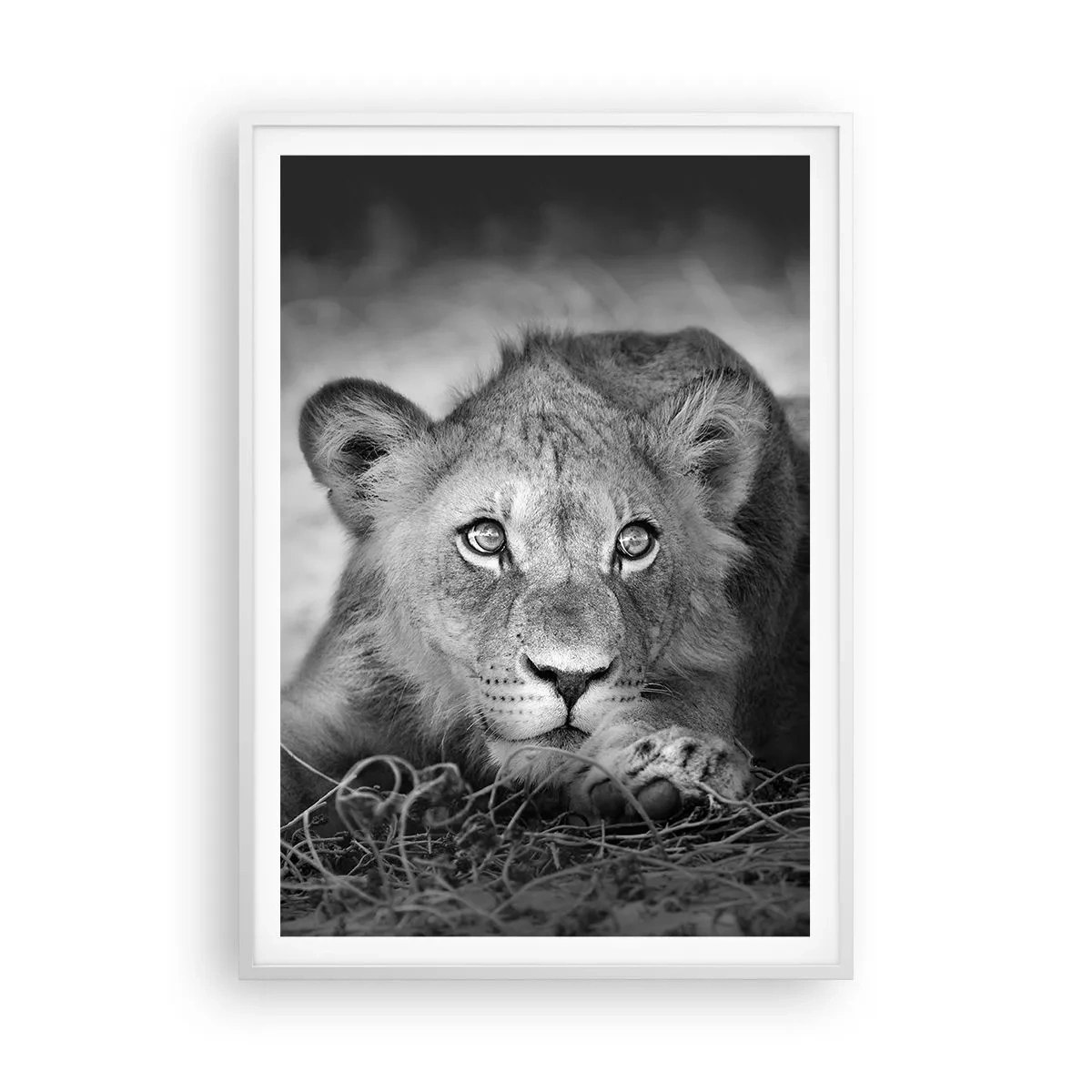 Póster en marco blanco - Un cachorro real - 70x100 cm