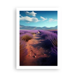 Póster - Un campo de lavanda al atardecer con un paisaje montañoso al fondo. - 50x70cm - Campos fragantes - Decoración de pared moderna para salón y dormitorio ARTTOR
