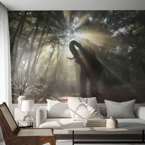 Fotomural Standard Eco - Bajo una estrella de la suerte - Paisaje, Elefante, Selva - 400x280 cm