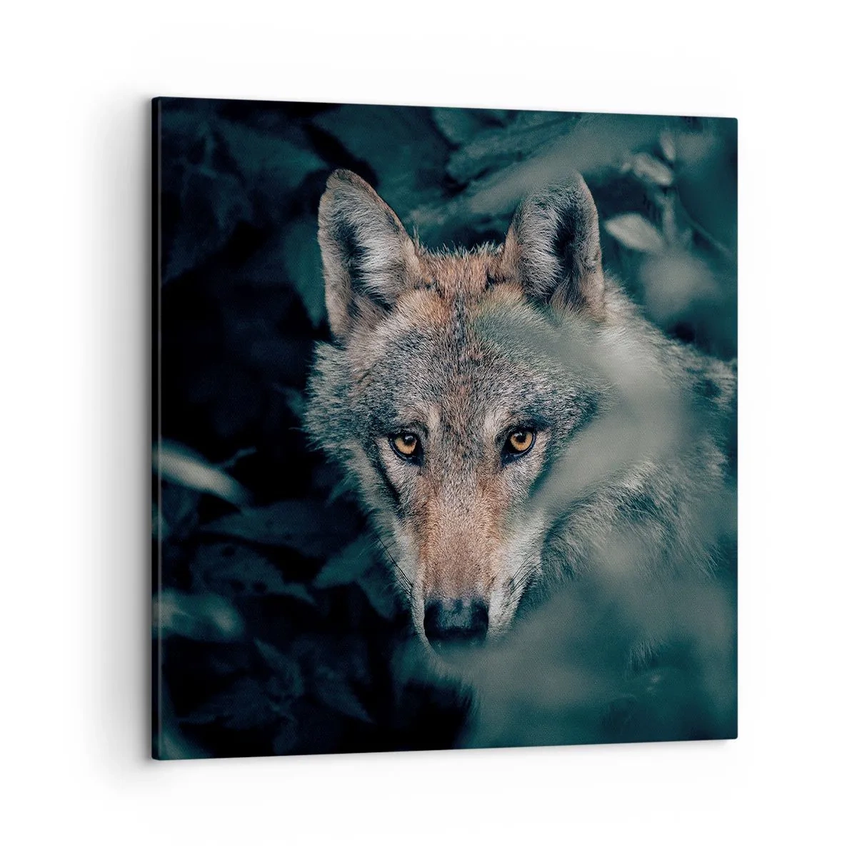 Cuadro sobre lienzo - Impresión de Imagen - Cazador - 50x50 cm