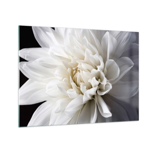 Cuadro sobre vidrio - Impresiones sobre Vidrio - Un primer plano de una dalia blanca sobre un fondo negro y gris. - 70x50cm - La novia de la mañana - Decoración de pared moderna para salón y dormitorio ARTTOR