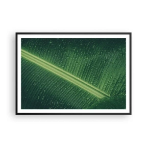 Póster en marco negro - Una hoja verde con gotas de agua en su superficie. - 100x70cm - Estructura del verde - Decoración de pared moderna para salón y dormitorio ARTTOR