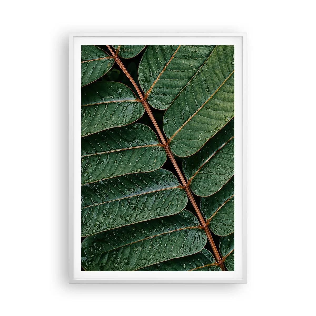 Póster en marco blanco - En un ritmo verde - 70x100 cm