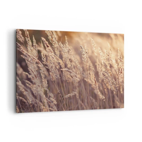 Cuadro sobre lienzo - Impresión de Imagen - Hierbas doradas con el sol poniente como telón de fondo - 100x70cm - Listos para dar la bienvenida al otoño - Decoración de pared moderna para salón y dormitorio ARTTOR