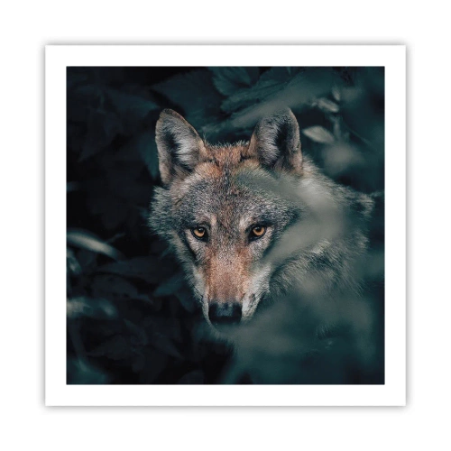 Póster - Cazador - 60x60 cm