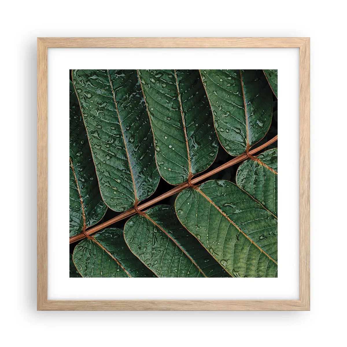 Póster en marco roble claro - En un ritmo verde - 40x40 cm