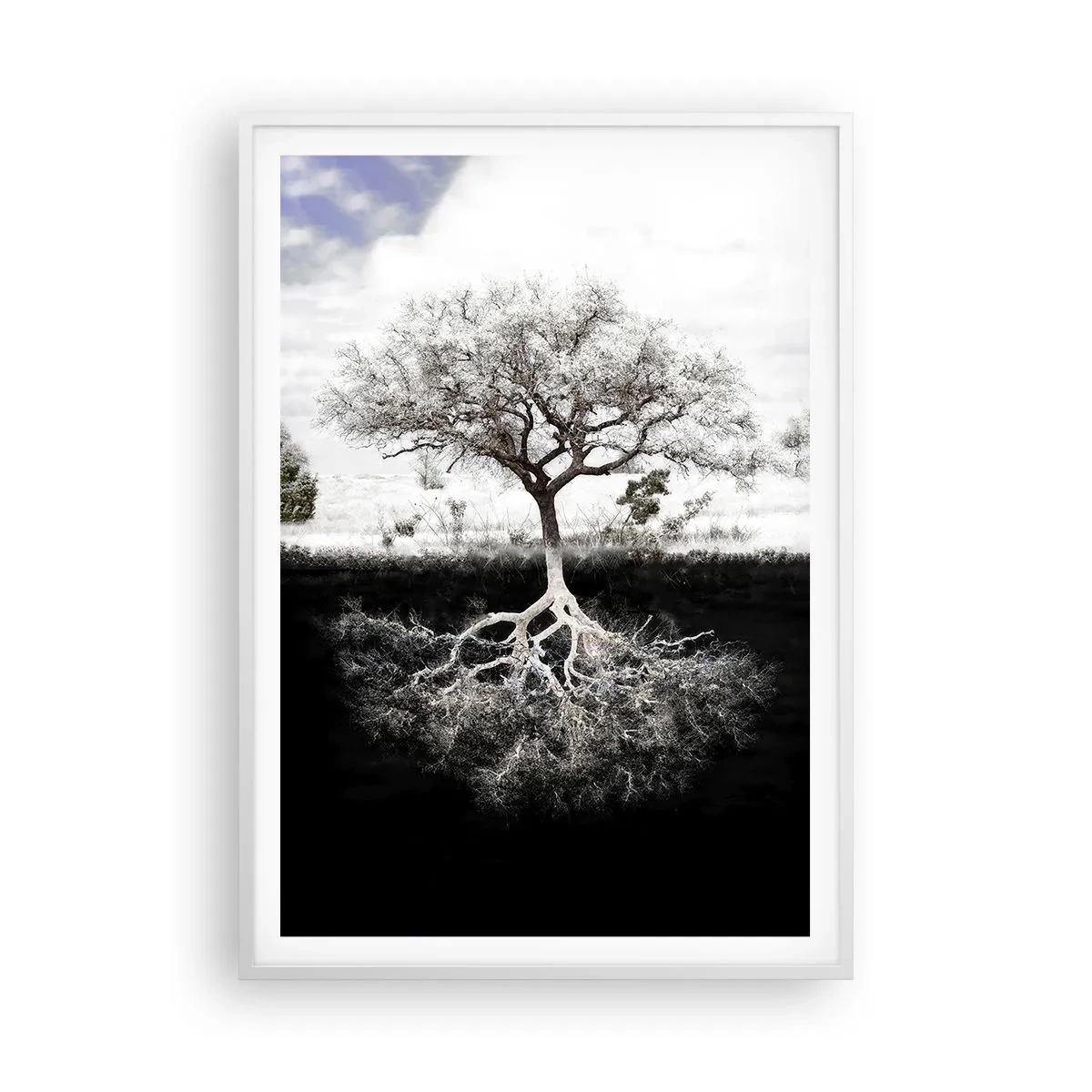 Póster en marco blanco - Descubrir la naturaleza del mundo - 70x100 cm