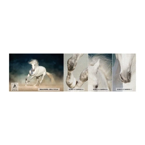 Muestra de fotomural Premium Canvas - Libertad en estado puro - Caballo, Animal, Blanco - 100x30 cm