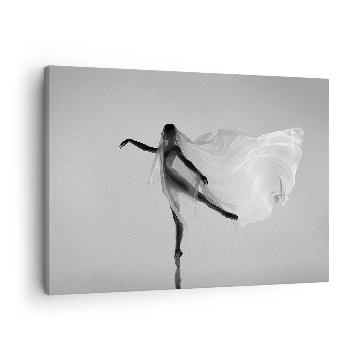 Cuadro sobre lienzo - Impresión de Imagen - Ligereza y gracia - 70x50 cm
