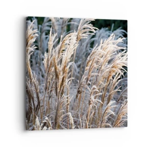 Cuadro sobre lienzo - Impresión de Imagen - Campos y campos - 30x30 cm