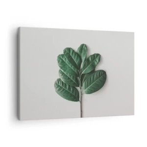 Cuadro sobre lienzo - Impresión de Imagen - Una ramita de hojas verdes sobre un fondo claro. - 70x50cm - El dibujo de la propia naturaleza - Decoración de pared moderna para salón y dormitorio ARTTOR