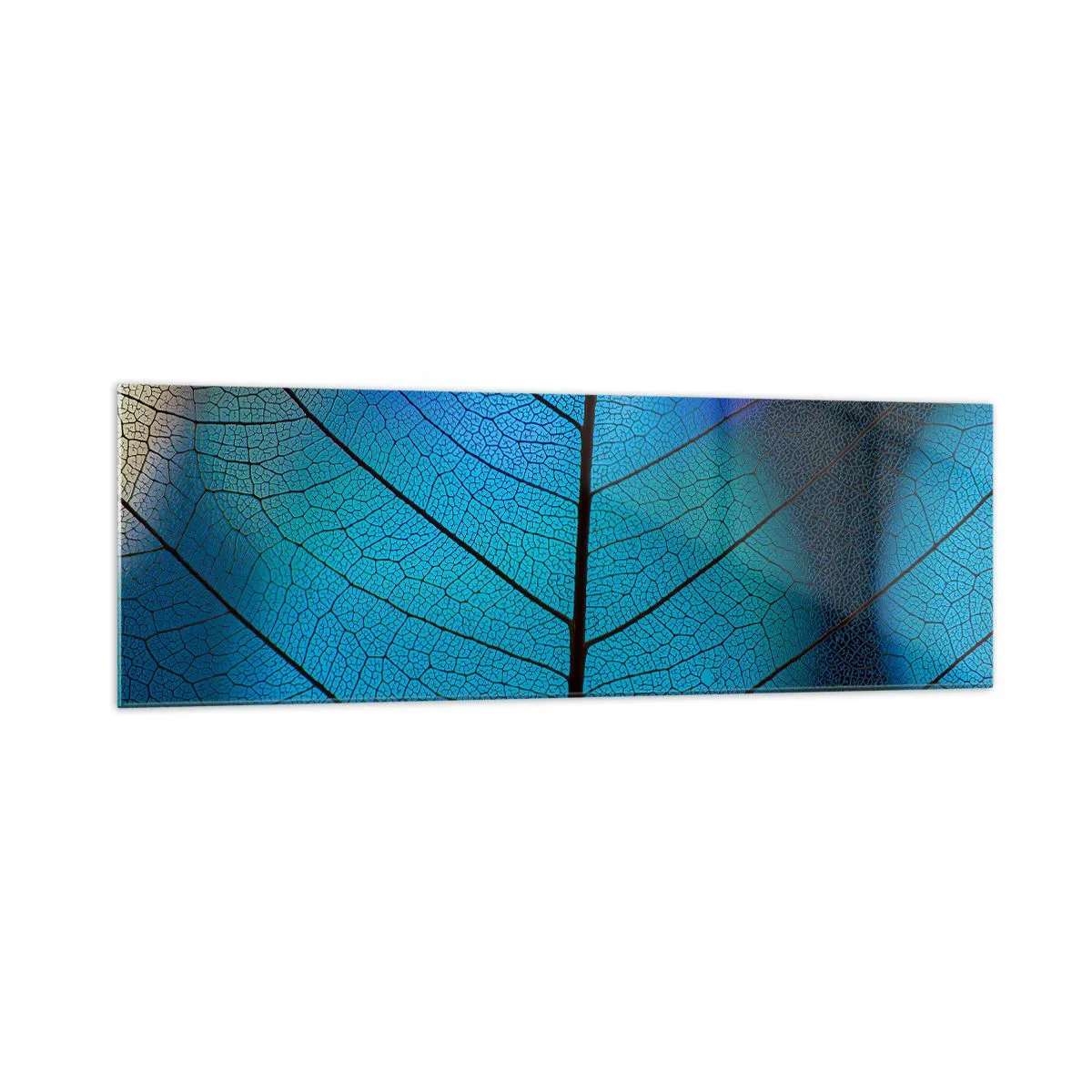 Cuadro sobre vidrio - Impresiones sobre Vidrio - Primer plano de una hoja azul con detalle de vena visible - 160x50cm - Construcción intrincada - Decoración de pared moderna para salón y dormitorio ARTTOR