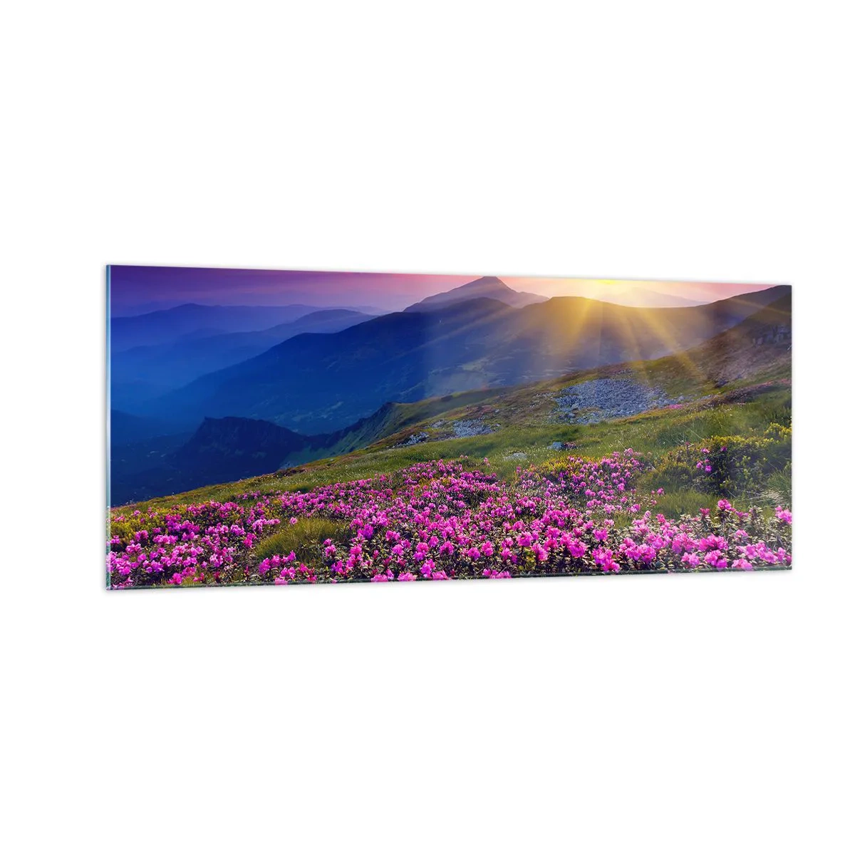 Cuadro sobre vidrio - Impresiones sobre Vidrio - ... Y el aroma a hierbas está por todas partes - 100x40 cm