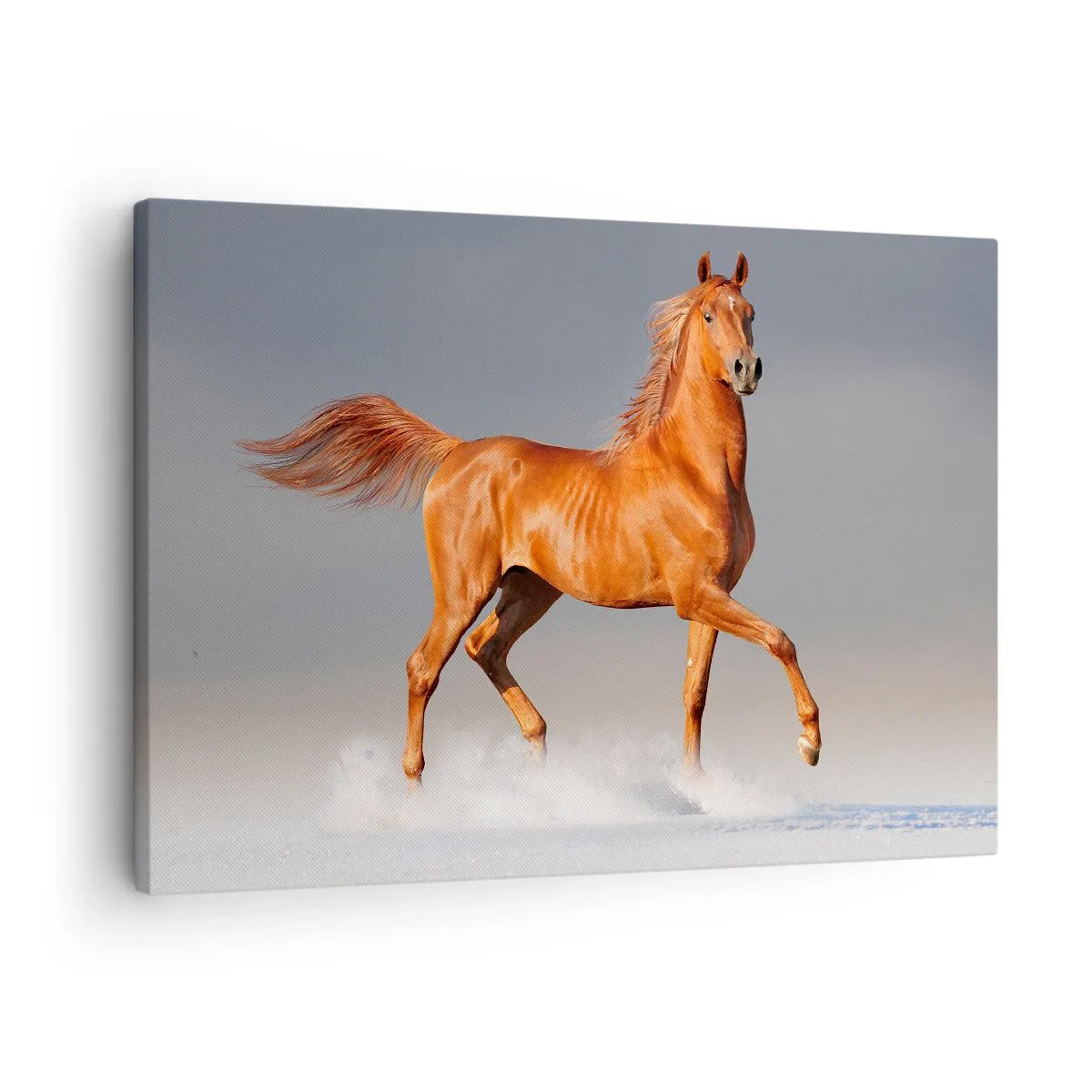 Cuadro sobre lienzo - Impresión de Imagen - Un caballo al galope contra un cielo azul. - 70x50cm - Danza al viento - Decoración de pared moderna para salón y dormitorio ARTTOR