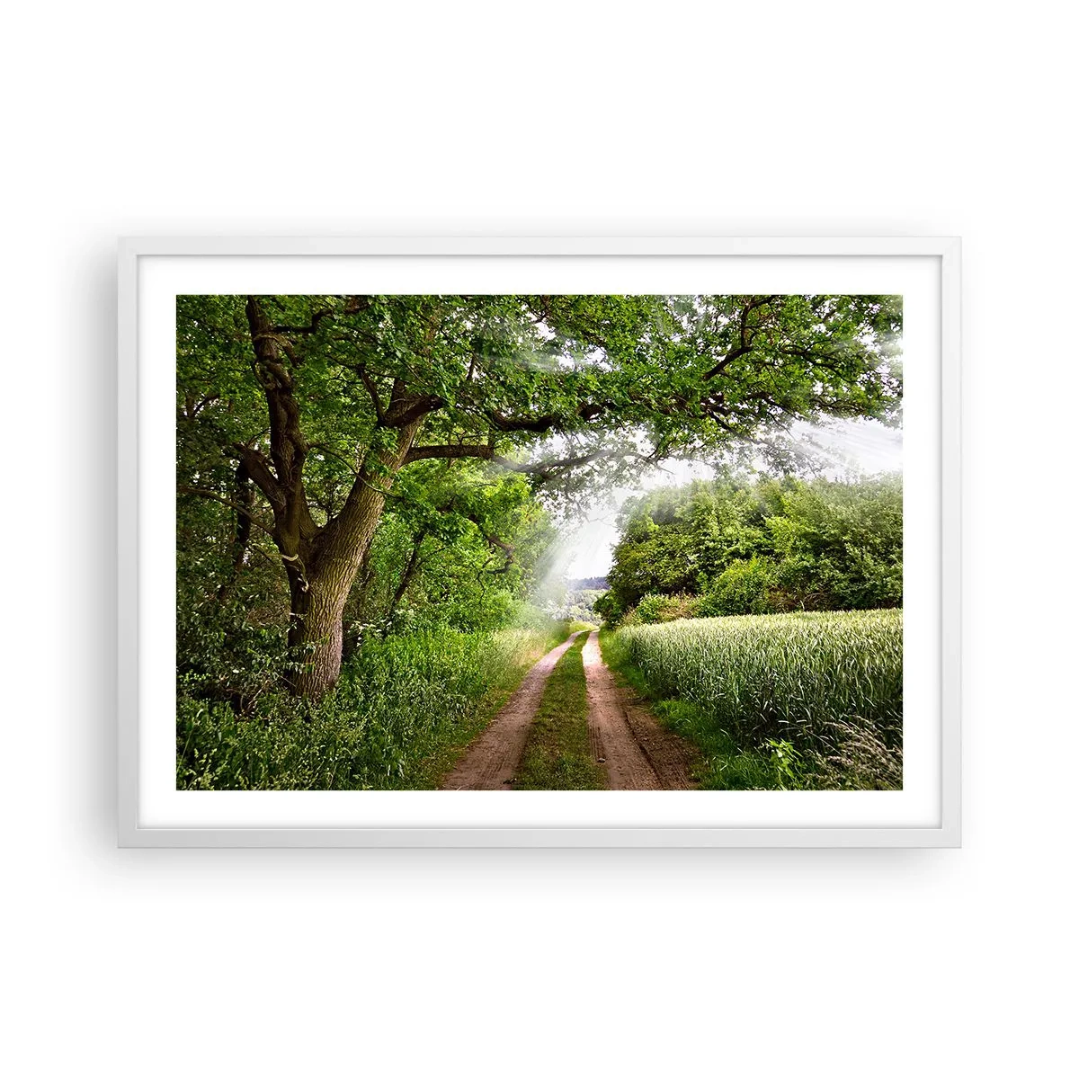 Póster en marco blanco - Ensueño - 70x50 cm