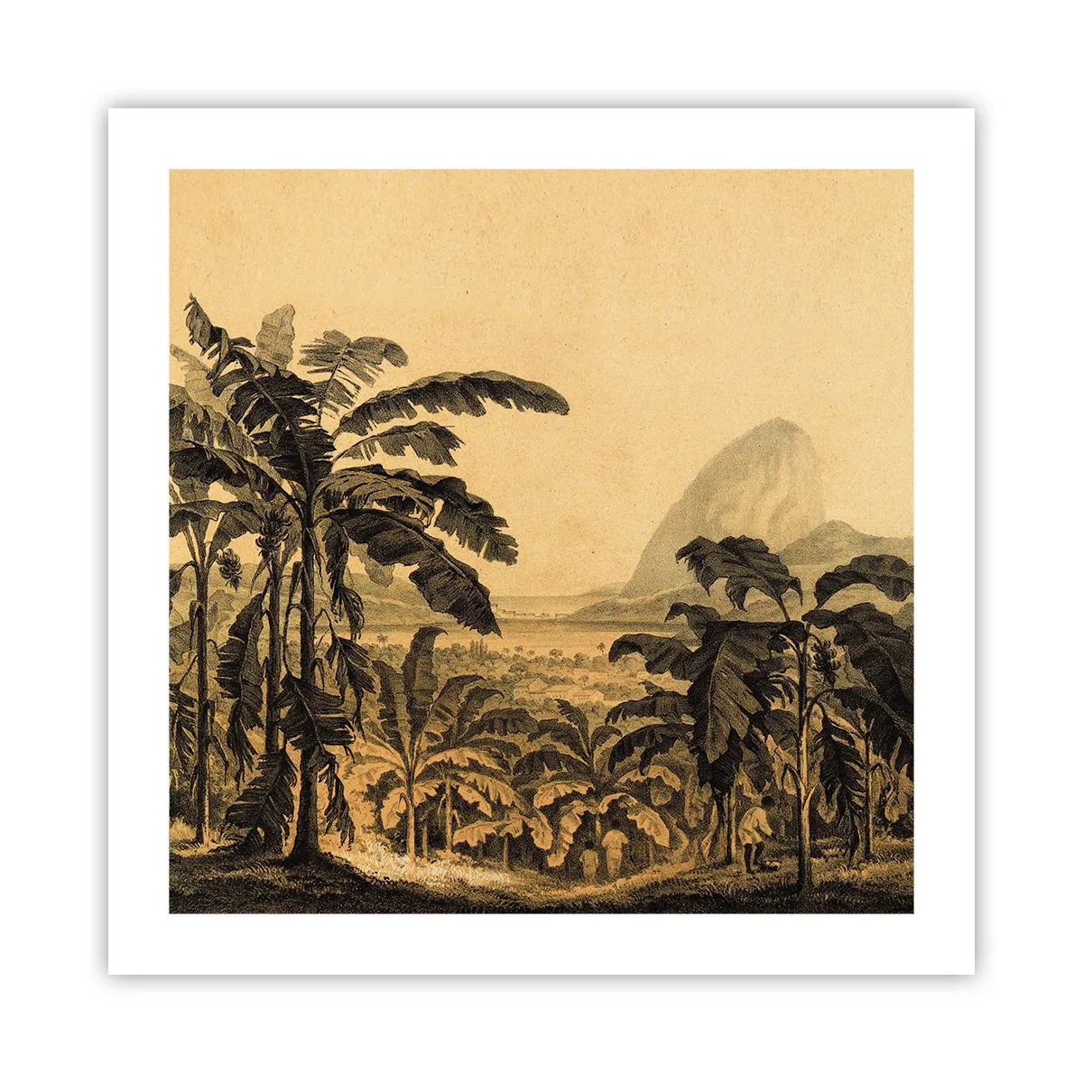 Póster - En un ambiente colonial - 50x50 cm