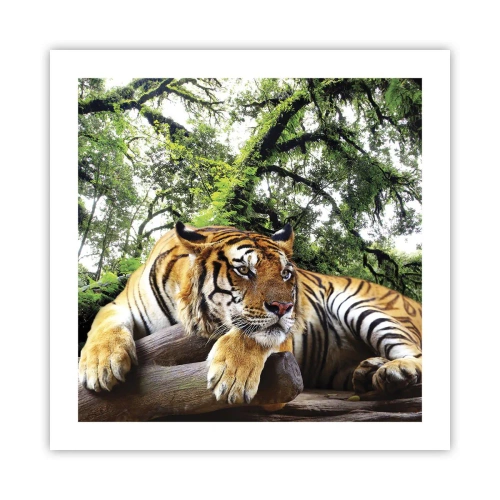 Póster - Atentamente - 50x50 cm