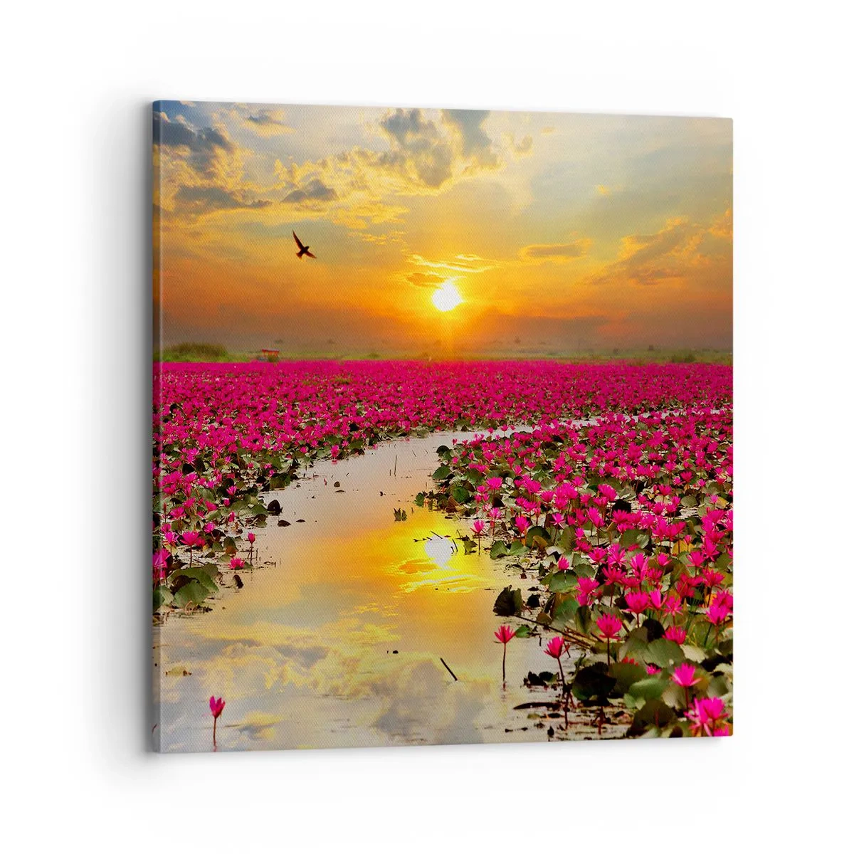 Cuadro sobre lienzo - Impresión de Imagen - La vida secreta del lago - 70x70 cm