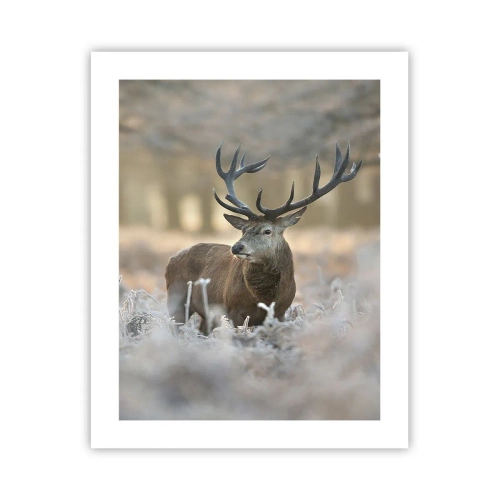 Póster - Una mañana fresca - 40x50 cm