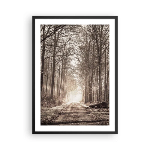 Póster en marco negro - Un sendero forestal en tonos sepia otoñales. - 50x70cm - La catedral del bosque - Decoración de pared moderna para salón y dormitorio ARTTOR