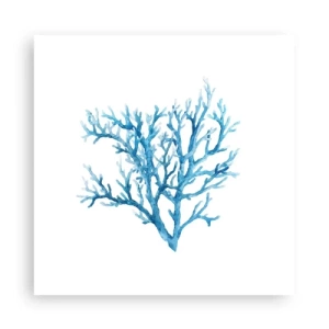 Póster - Filigrana marina - 30x30 cm