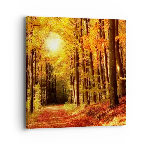 Cuadro sobre lienzo - Impresión de Imagen - Un otoño dorado en una carretera forestal - 30x30 cm