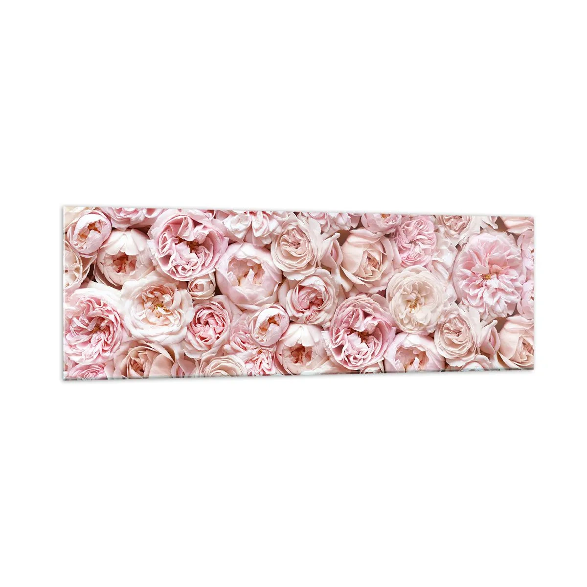 Cuadro sobre vidrio - Impresiones sobre Vidrio - Delicadas rosas en tonos rosa por toda la superficie. - 160x50cm - Salpicado de rosas - Decoración de pared moderna para salón y dormitorio ARTTOR