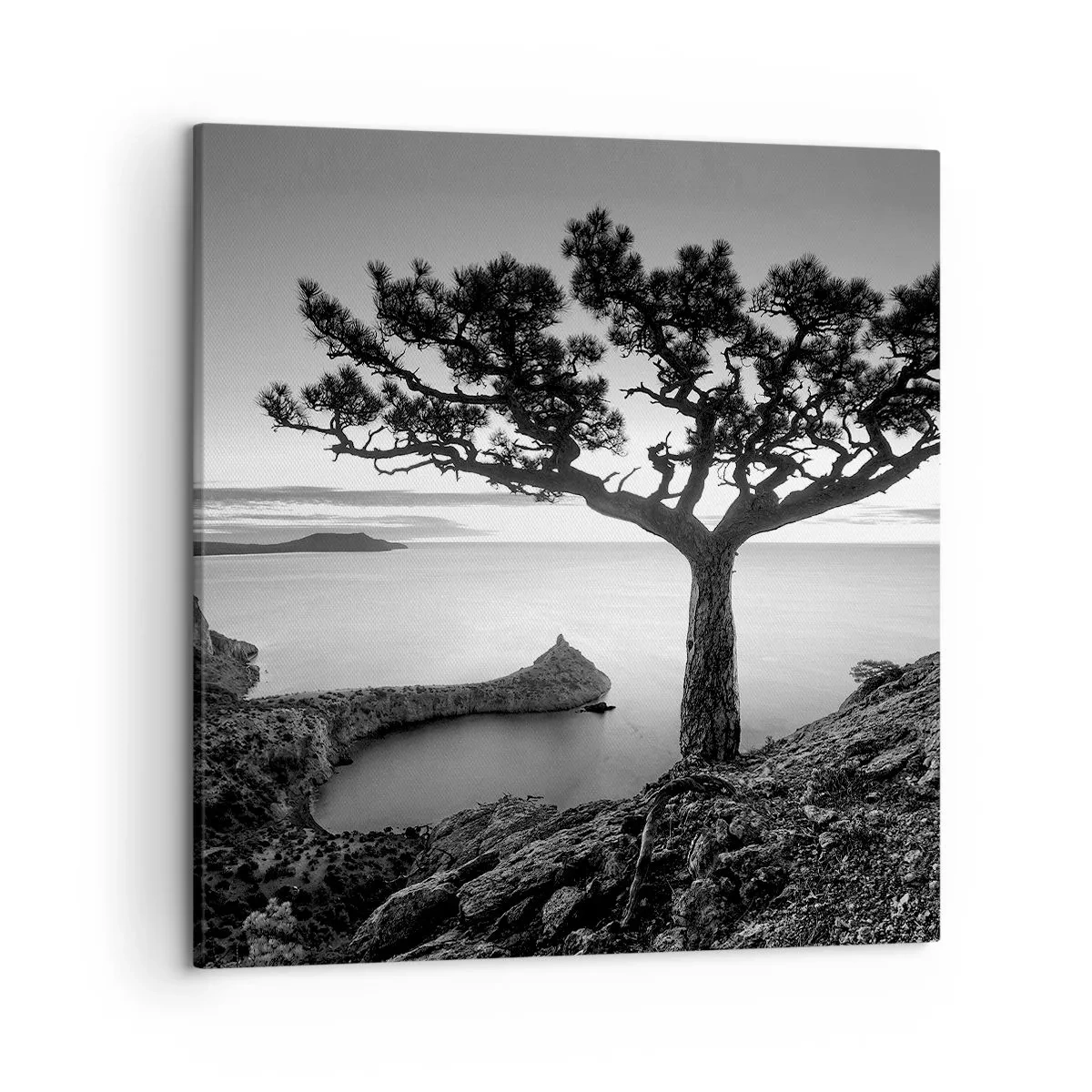 Cuadro sobre lienzo - Impresión de Imagen - Calma hasta el horizonte - 50x50 cm