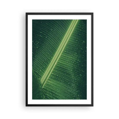 Póster en marco negro - Primer plano de una hoja verde con gotas de agua. - 50x70cm - Estructura del verde - Decoración de pared moderna para salón y dormitorio ARTTOR