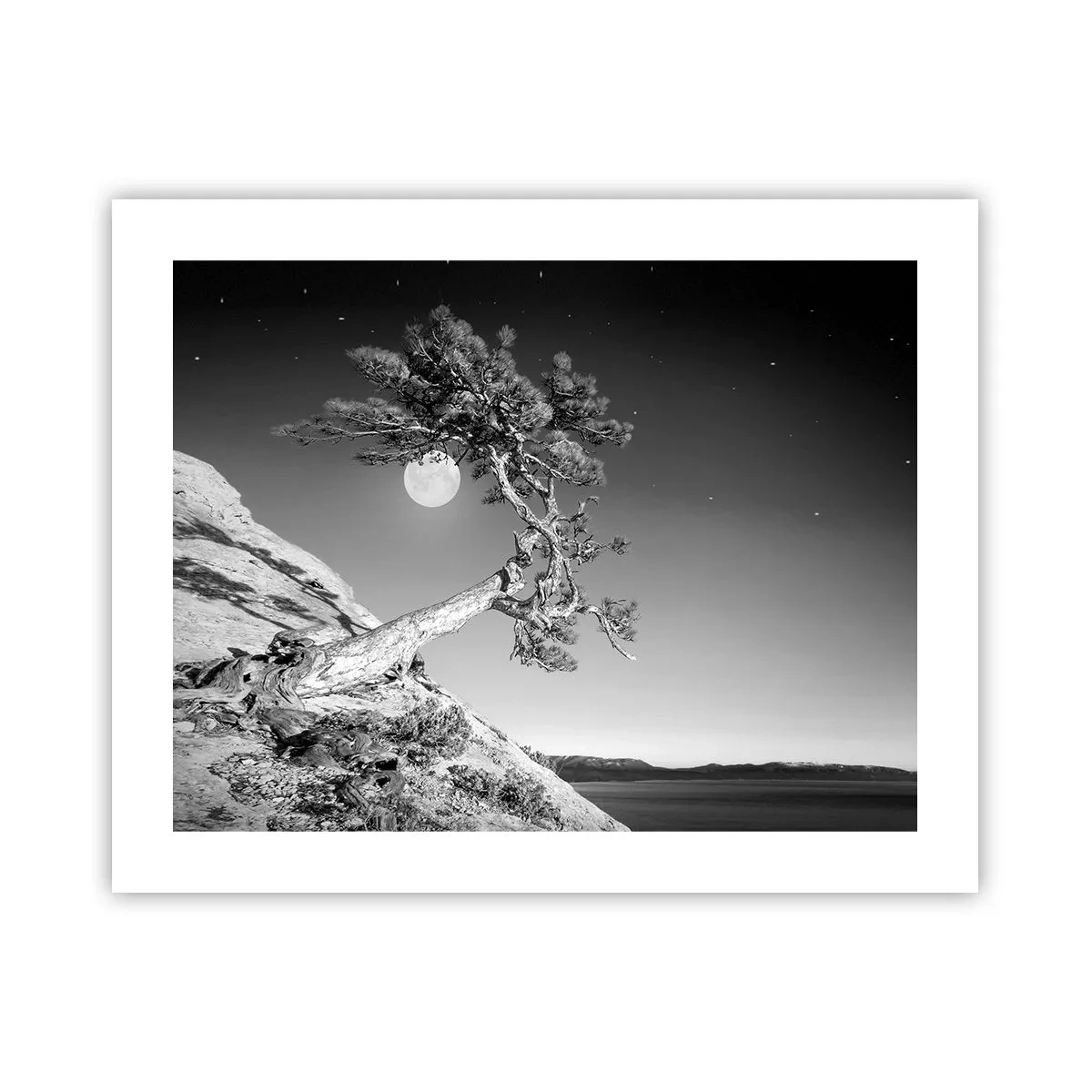 Póster - Un guerrero victorioso - 50x40 cm