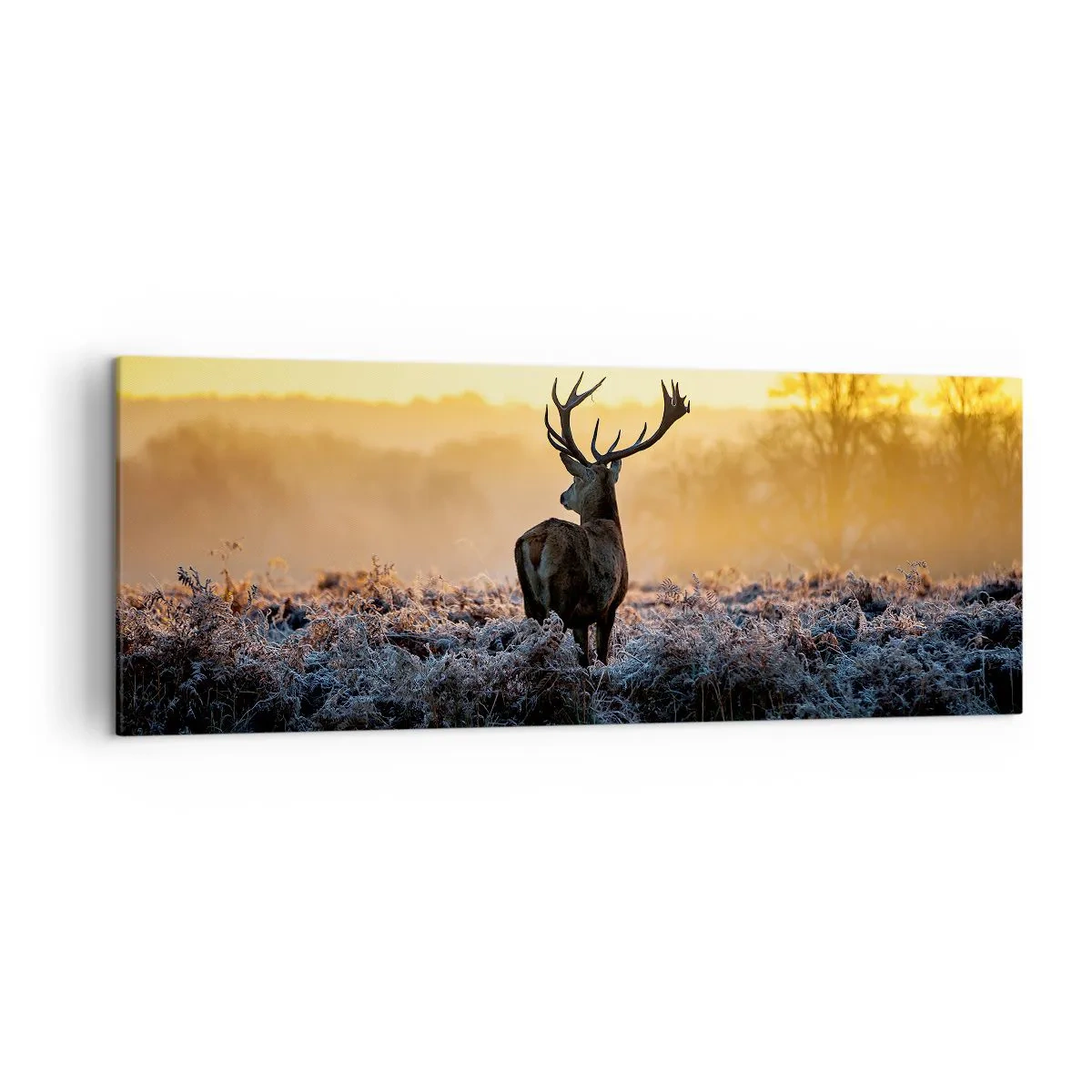 Cuadro sobre lienzo - Impresión de Imagen - Un ciervo en un claro helado al amanecer. - 140x50cm - Coronado en sus propios dominios - Decoración de pared moderna para salón y dormitorio ARTTOR