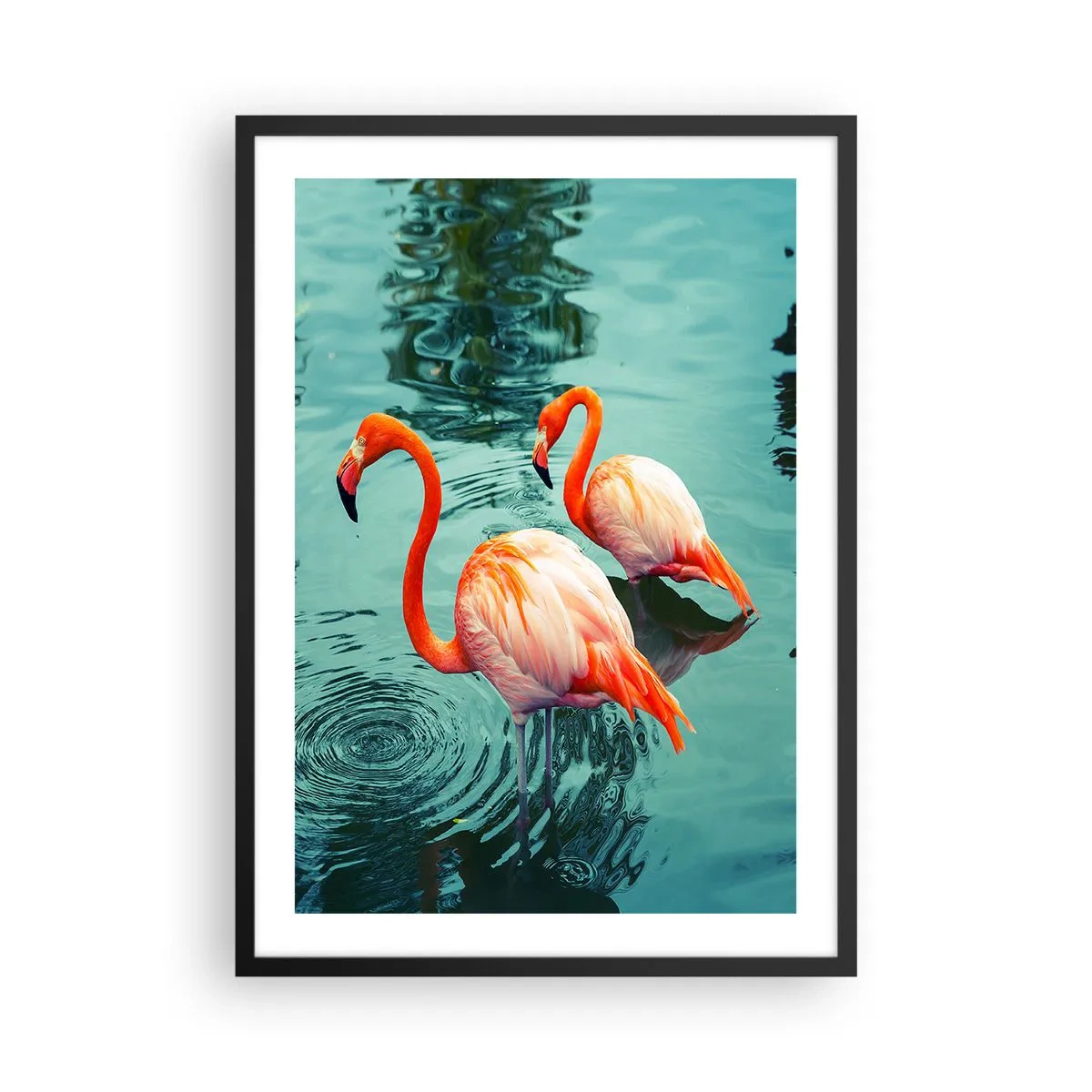 Póster en marco negro - Dos flamencos con el agua en calma como telón de fondo - 50x70cm - Estamos de moda - Decoración de pared moderna para salón y dormitorio ARTTOR